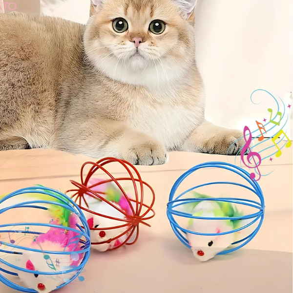 How to Keep Your Cat Active Indoors?