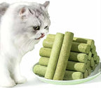 Cat Grass Teething Sticks | Chew Toy & Hairball Support