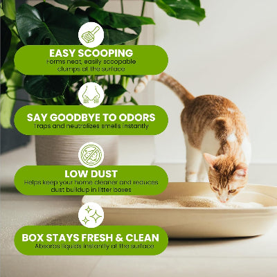 Almo Nature Cat Litter 2,27 Kg/5 Lb (76)