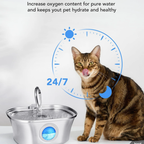 Automatic 3.2L Cat Water Fountain – Stainless Steel Pet Dispenser