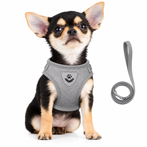 Adjustable Cat & Dog Harness & Leash Set  Reflective Mesh Vest