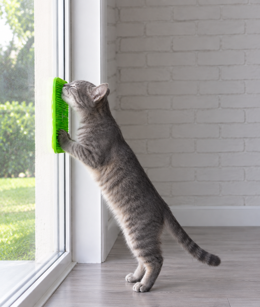 Pet carrier backpack for cats and small dogs