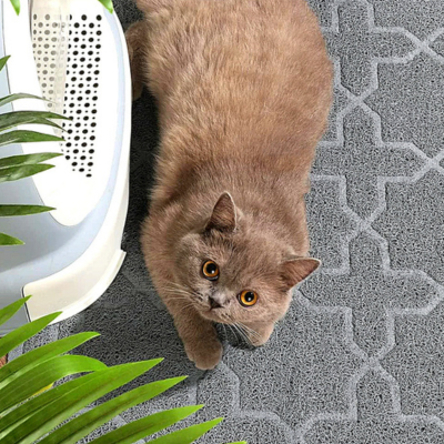 Clean Paws Litter Mat