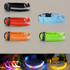 LED Light-Up cat Collar  USB Rechargeable Reflective Collar