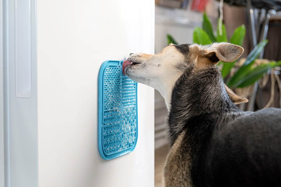 Pet carrier backpack for cats and small dogs