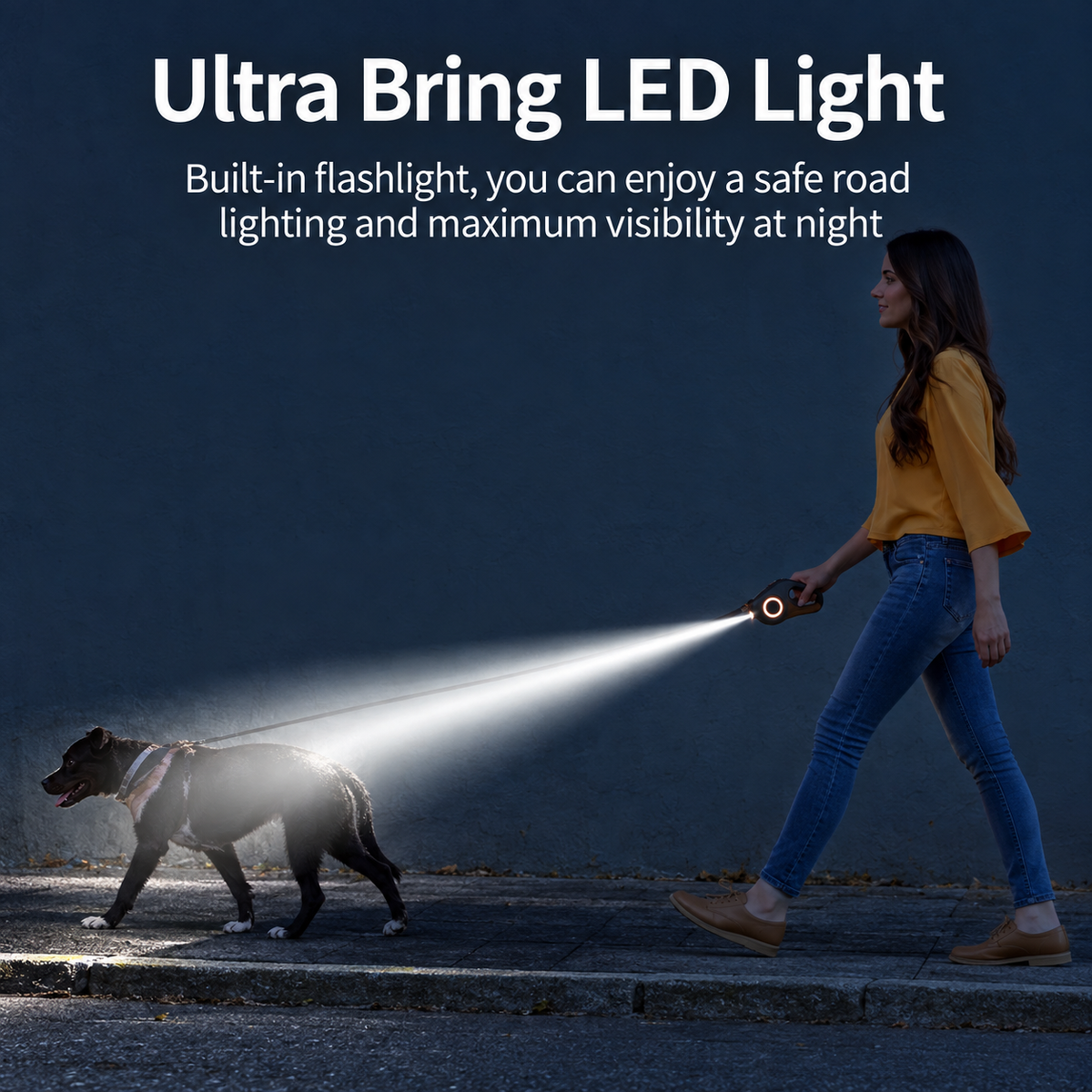 ROJECO LED Retractable Dog Leash – 5M Long Lead for Night Walks & Outdoor Adventures