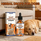 Natural Yeast Infection Treatment for Dogs | Itchy Skin & Ear Relief