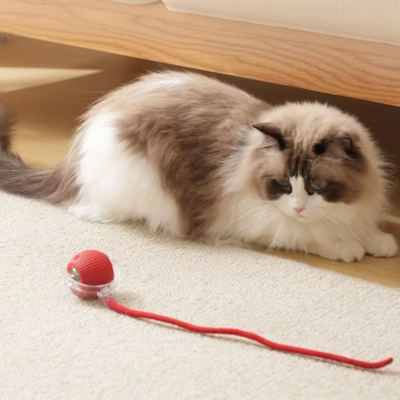 Smart Automatic Rolling Ball Toy for Cats