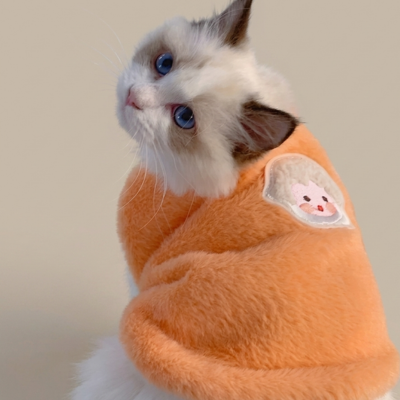 Soft Winter Cat Clothes Warm Sweater Vest for Kittens