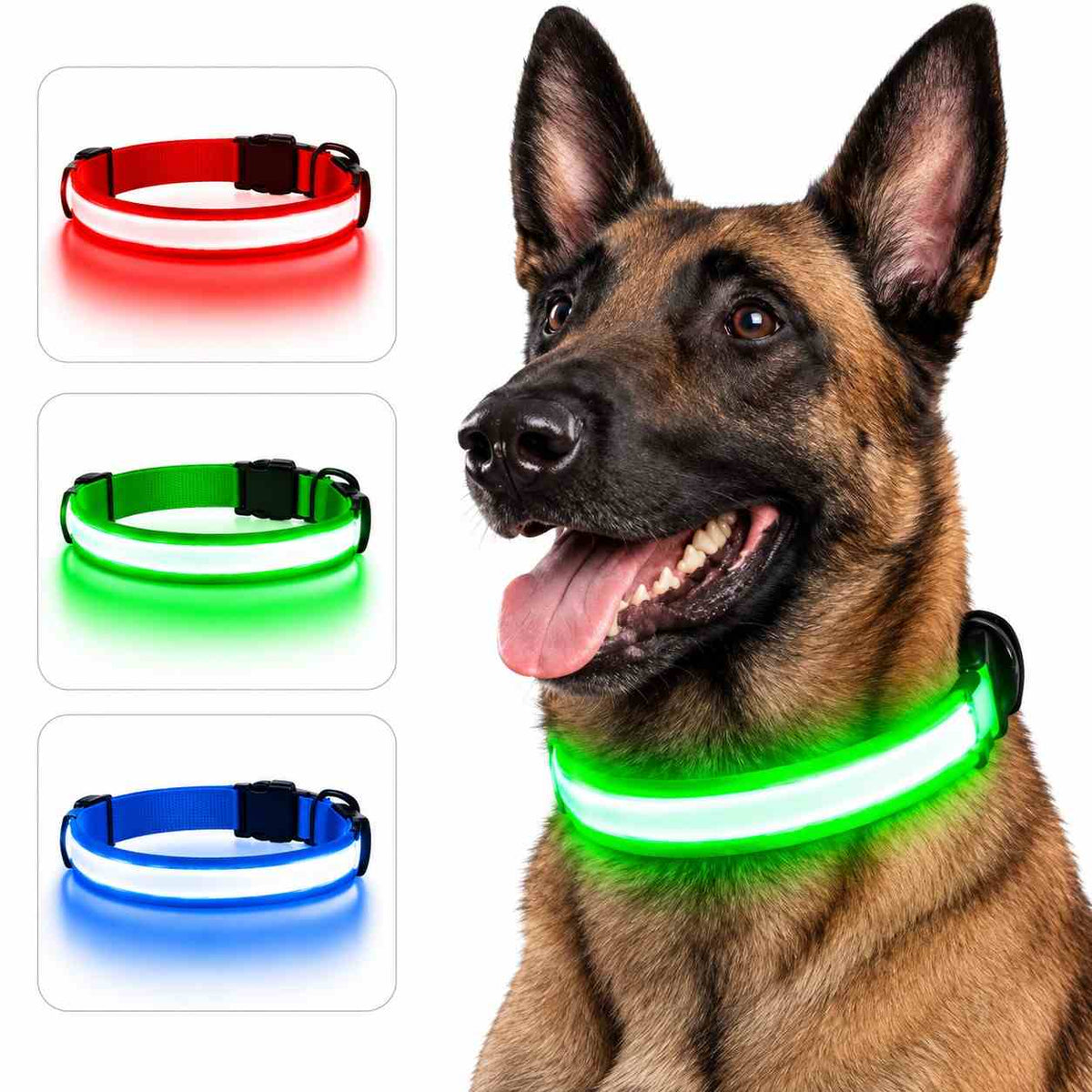 USB Rechargeable LED Safety Collar for Dogs & Cats