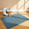 Clean Paws Litter Mat