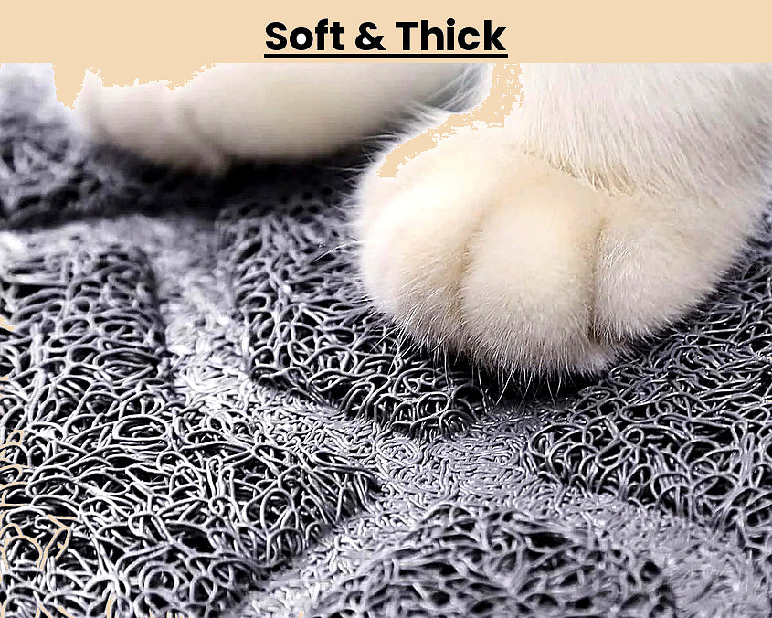 Clean Paws Litter Mat