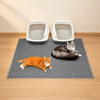 Clean Paws Litter Mat