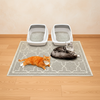 Clean Paws Litter Mat